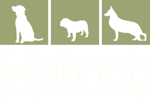 Hobnob Pet: pet daycare, swim, hotel and spa