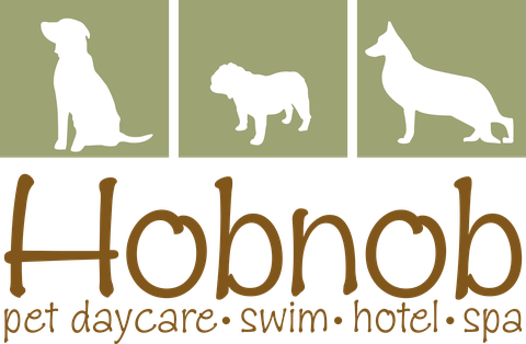 Hobnob Pet: pet daycare, swim, hotel and spa
