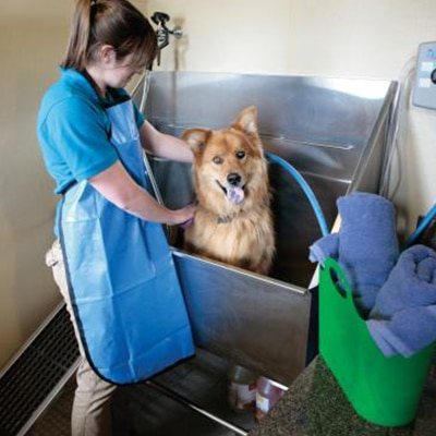The self-service dog wash tubs at Hobnob