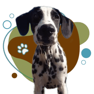 Additional Services for Overnight Stays